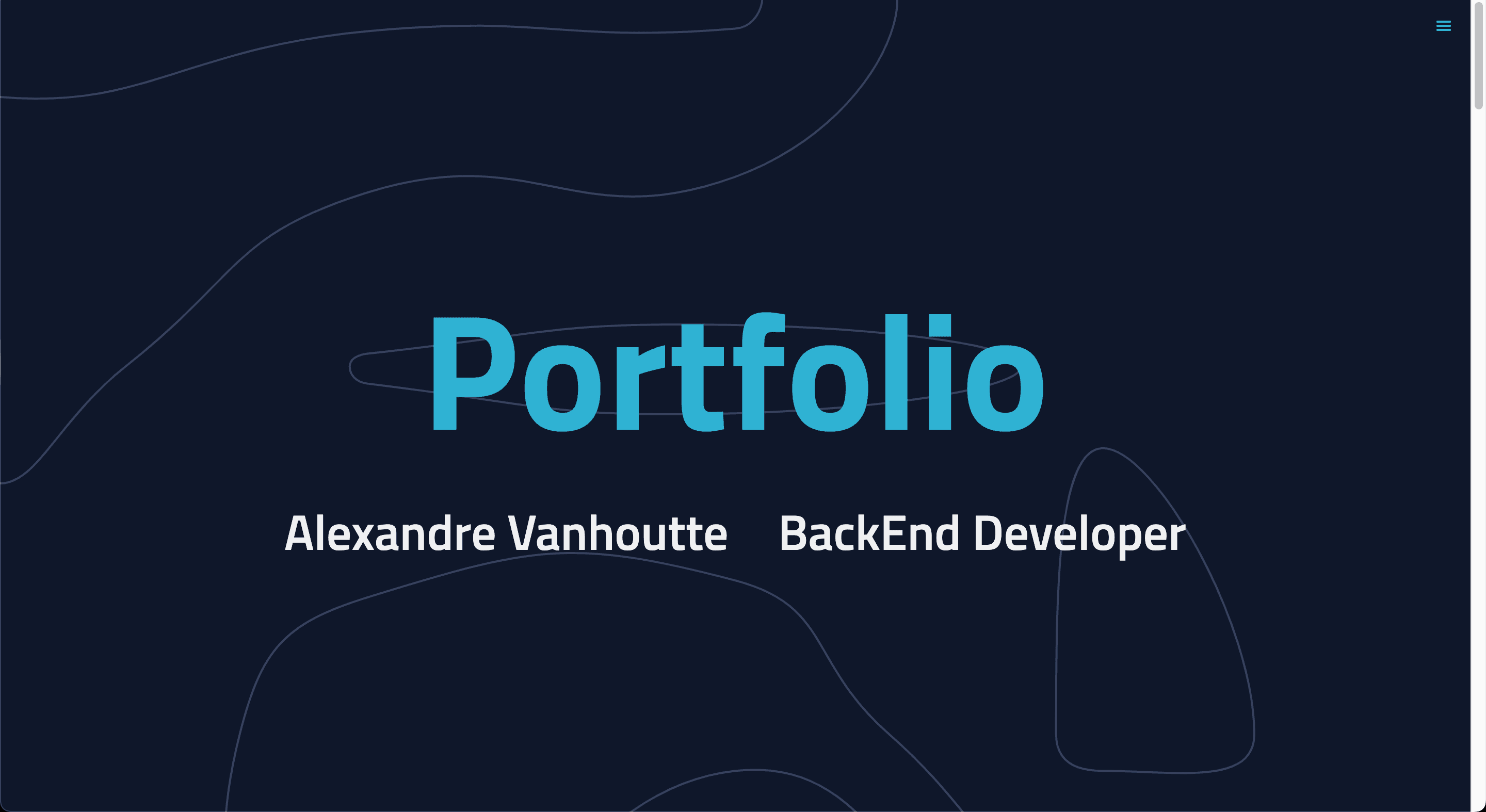 Portfolio project screenshot